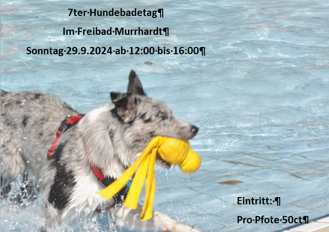 Hundebadetag Sonntag 29.09.2024